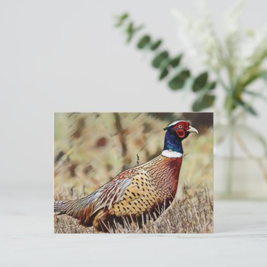 Carte Postale Pheasant (Debout devant)