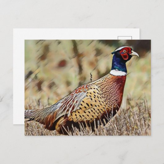 Carte Postale Pheasant (Devant / Derrière)