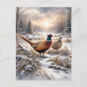 Carte Postale Pheasant  (Devant)