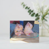 Carte Postale Pheasant de bière (Debout devant)