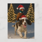 Carte Postale Pheasant on Springer Spaniel Christmas postcard (Devant)
