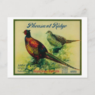 Carte Postale Pheasant Ridge Apple Crate Étiquette