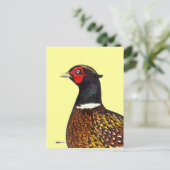 Carte Postale Pheasant : Tête de Ringneck (Debout devant)