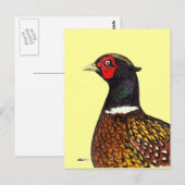 Carte Postale Pheasant : Tête de Ringneck (Devant / Derrière)