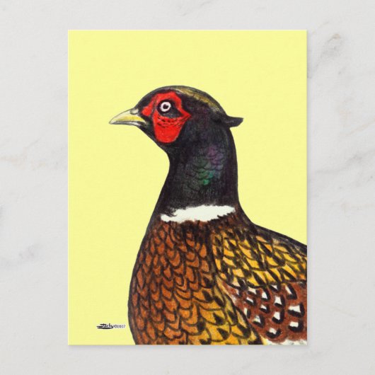 Carte Postale Pheasant : Tête de Ringneck (Devant)