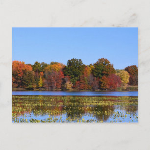 Carte Postale Philadelphie Couleurs automne