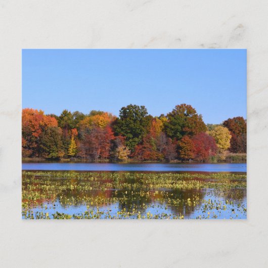 Carte Postale Philadelphie Couleurs automne (Devant)