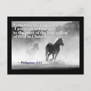 Carte Postale Philippiens 3:14 Je presse vers le but, Chevaux