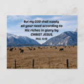 Carte Postale Philippiens 4:19 (Devant)