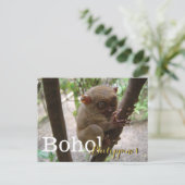 Carte Postale Philippine Tarsier de Bohol (Debout devant)