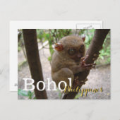Carte Postale Philippine Tarsier de Bohol (Devant / Derrière)