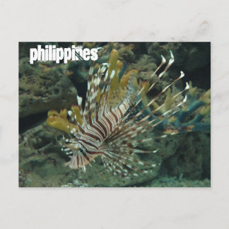 Carte Postale Philippines