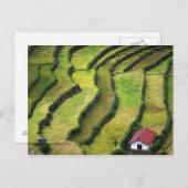Carte Postale Philippines, Batad, vue sur le riz (Devant / Derrière)