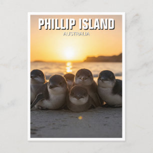 Carte Postale Phillip Island Australie