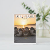 Carte Postale Phillip Island Australie (Debout devant)