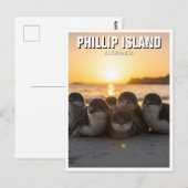 Carte Postale Phillip Island Australie (Devant / Derrière)