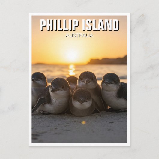 Carte Postale Phillip Island Australie (Devant)