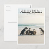 Carte Postale Phillip Island Australie (Devant / Derrière)