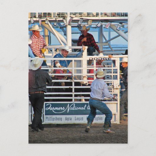 Carte Postale Phillipsburg, Kansas Rodeo 2007 (Devant)