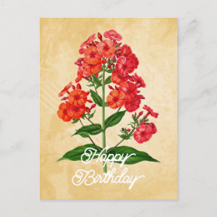 Carte Postale Phlox Hybride Élégant Vintage Fleur Joyeux Anniver