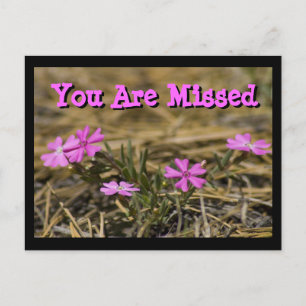 Carte Postale Phlox Sauvage Violet Showy de l'Ouest Personnalisé