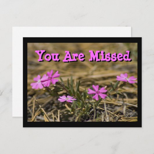 Carte Postale Phlox Violet Occidental Fleur Sauvage Personnalisé (Devant / Derrière)