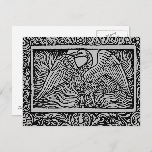 Carte Postale Phoenix, 1524 (Devant / Derrière)