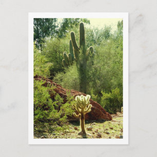 Carte Postale Phoenix Flora