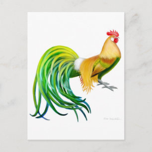Carte postale Phoenix Rooster