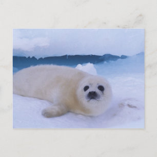 Carte Postale Phoque de Groenland Amérique du Nord, Canada, Québ