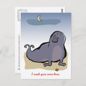 Carte Postale phoque éléphant (Devant / Derrière)