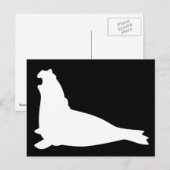 Carte postale Phoque éléphant Whiteblack (Devant / Derrière)