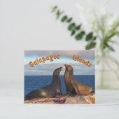 Carte Postale Phoques à fourrure (Debout devant)