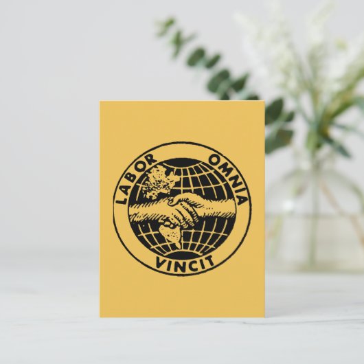 Carte Postale Phoques : Afl (Debout devant)