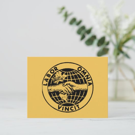 Carte Postale Phoques : Afl (Debout devant)