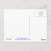 Carte Postale Phoques bébés à La Jolla (Dos)