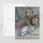 Carte Postale Phoques décoratifs (Devant / Derrière)