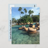 Carte Postale Phoques et lions de mer (Devant / Derrière)