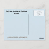 Carte Postale Phoques et lions de mer (Dos)