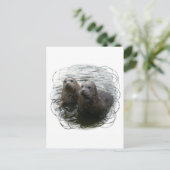 Carte postale Phoques pour bébés (Debout devant)