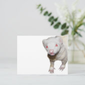 Carte Postale Photo Albino Ferret (Debout devant)