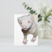 Carte Postale Photo Albino Ferret (Debout devant)