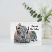 Carte Postale Photo Anniversaire Faune Taureau Neige (Debout devant)