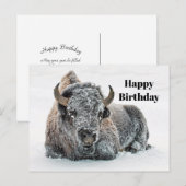 Carte Postale Photo Anniversaire Faune Taureau Neige (Devant / Derrière)