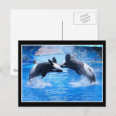 Carte postale Photo Baleine (Devant / Derrière)