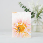 Carte postale photo Bee on a Pink Dahlia (Debout devant)