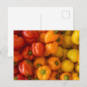 Carte postale photo Bell Peppers (Devant / Derrière)