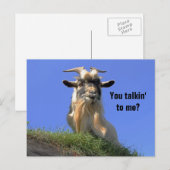 Carte Postale Photo Billy Goat (Devant / Derrière)