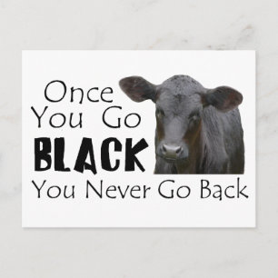 Carte Postale Photo Black Angus Funny Cow