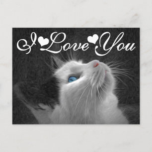 Carte Postale Photo Blue Eyed Cat I Love You